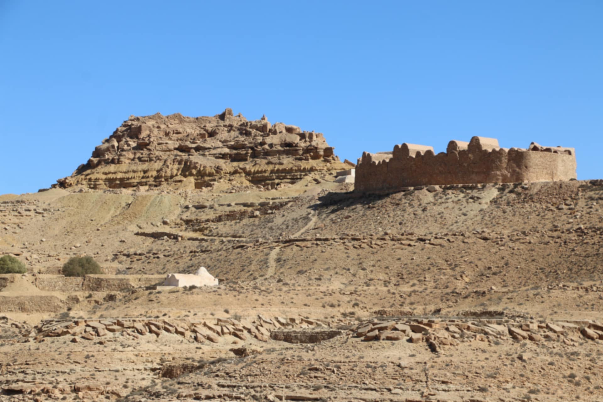 1491e424-5154-4d8a-af40-2a7ef034f9ff