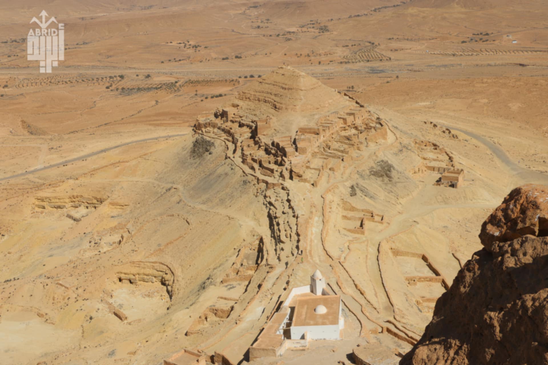 8431593e-b779-4f5e-9765-fd4b310c9065