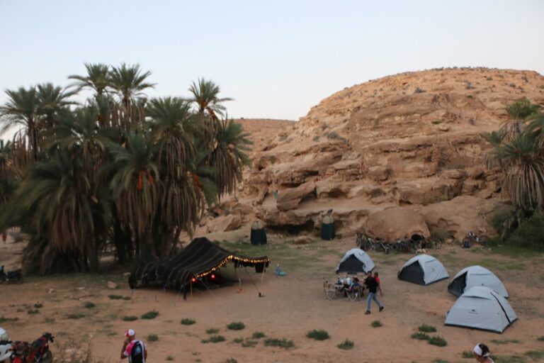 488912180_1233163188811081_7710938035275734296_n